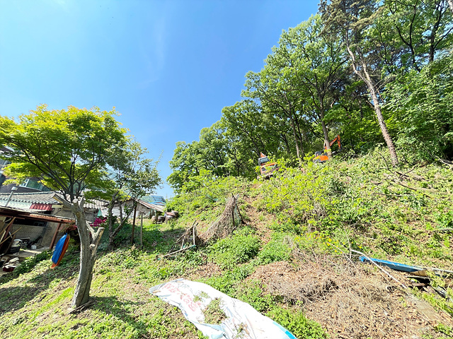 관고동행정복지센터 위험수목 제거 사업.jpg