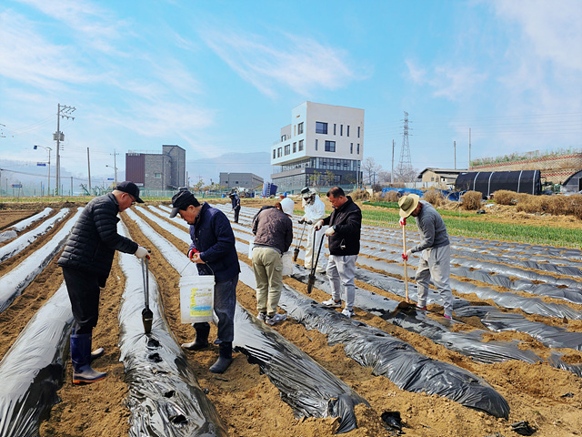 6 관고동 자유총연맹 감자 식재로 따뜻한 나눔 준비2.jpg